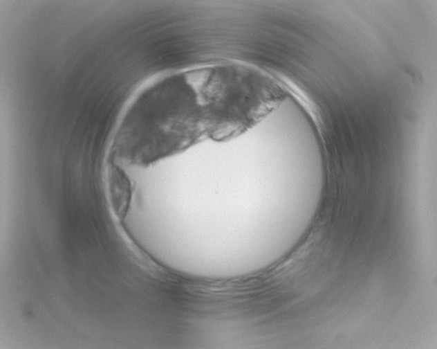 X0000114401291200911271510