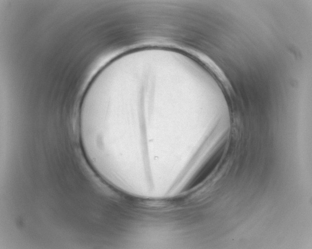 X0000114401295200911271510