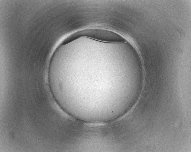 X0000114401296200911271510