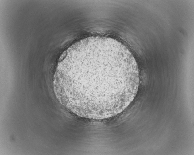 X0000114401297200911271510