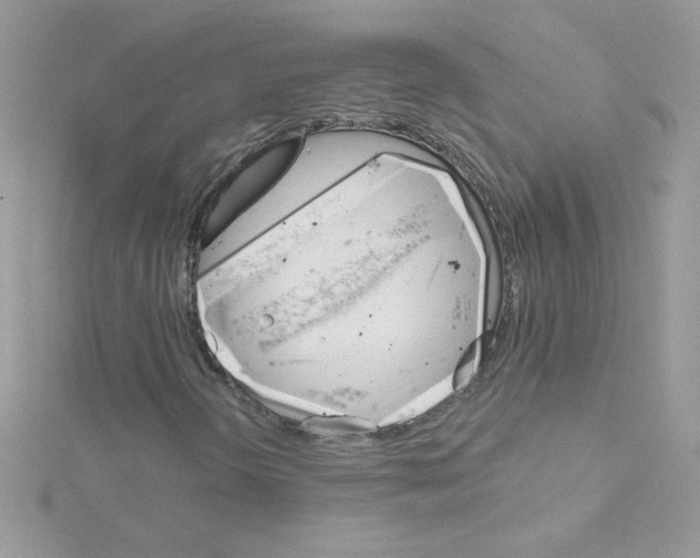 X0000114401298200911271510