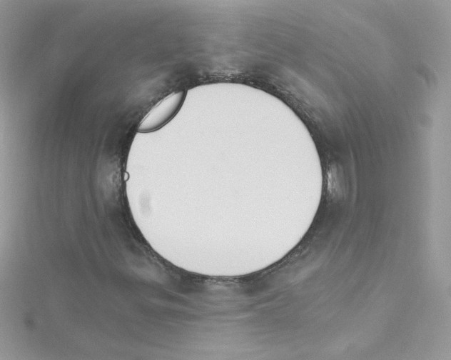 X0000114401299200911271510