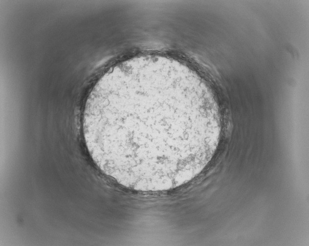 X0000114401301200911271510