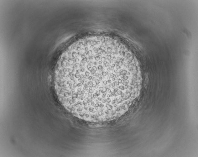 X0000114401302200911271510