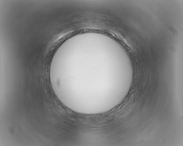 X0000114401303200911271510