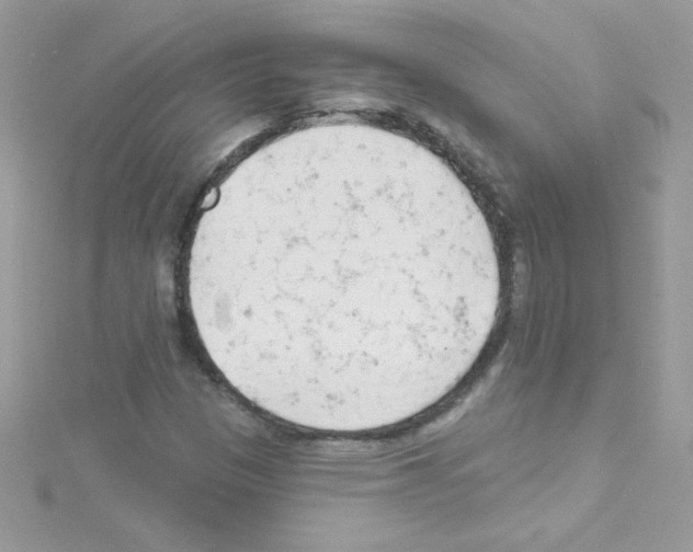 X0000114401305200911271510