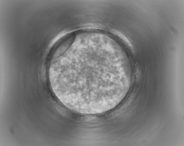 X0000114401310200911271510