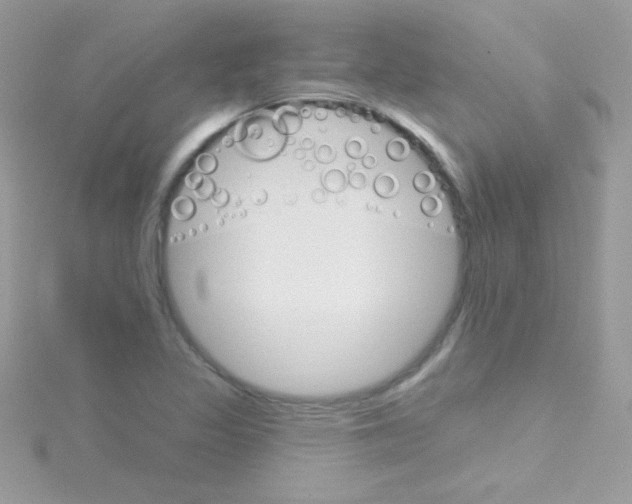 X0000114401317200911271510