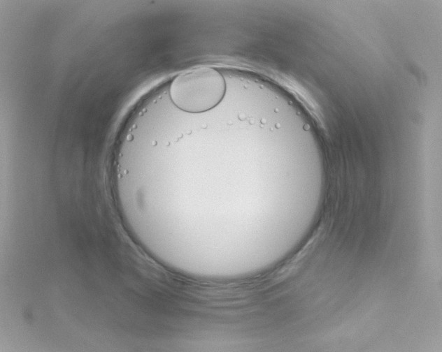 X0000114401318200911271510