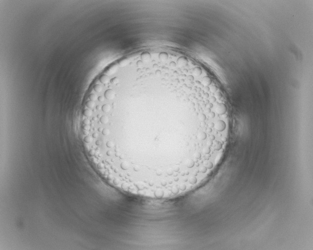 X0000114401322200911271510