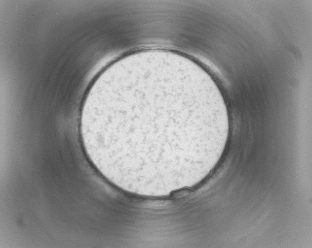 X0000114401325200911271510