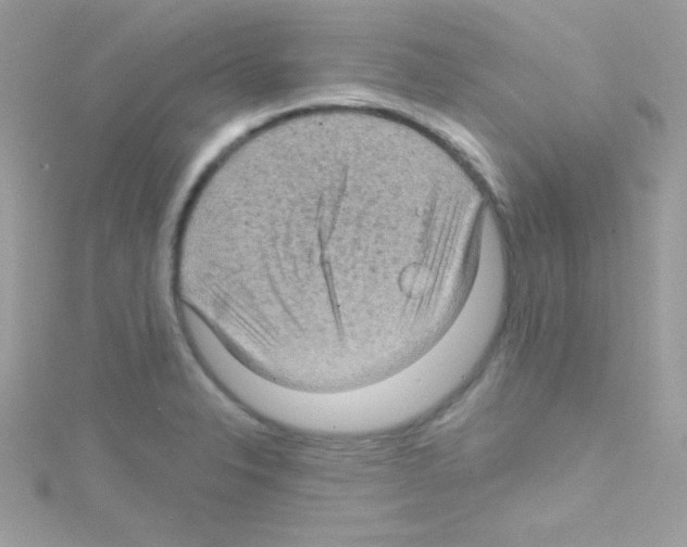 X0000114401326200911271510