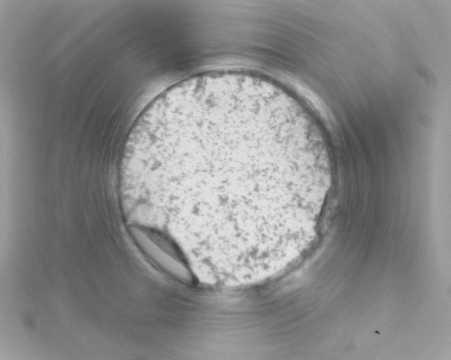 X0000114401329200911271510