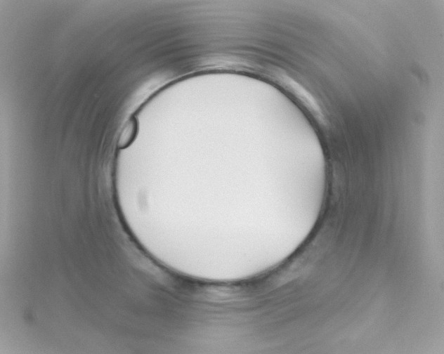 X0000114401330200911271510