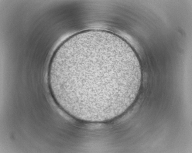 X0000114401331200911271510