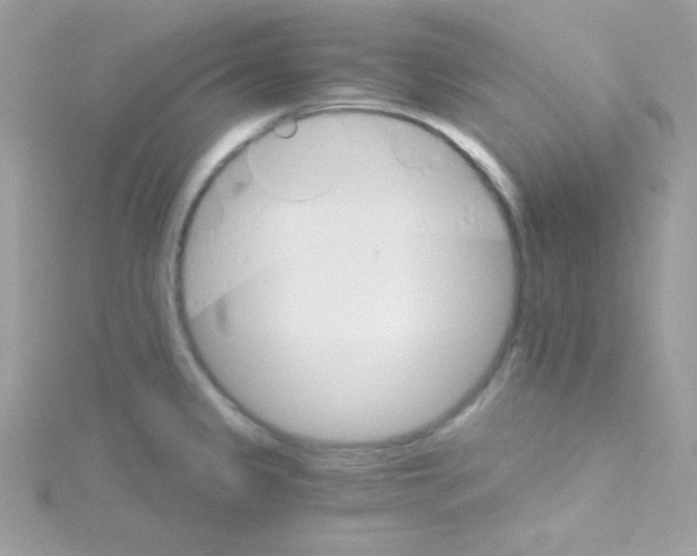 X0000114401333200911271510