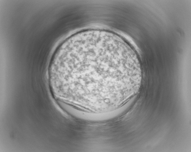 X0000114401335200911271510