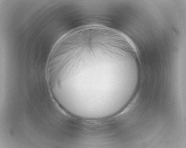 X0000114401337200911271510