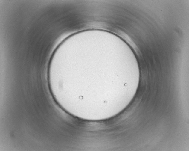 X0000114401339200911271510