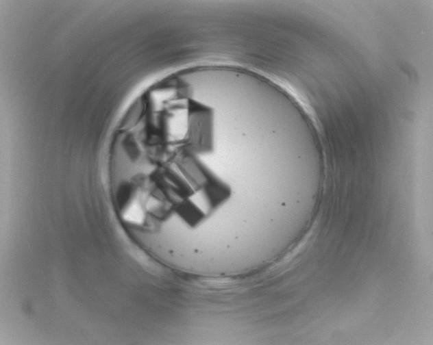 X0000114401342200911271510