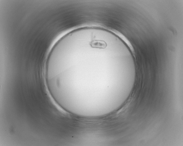 X0000114401343200911271510