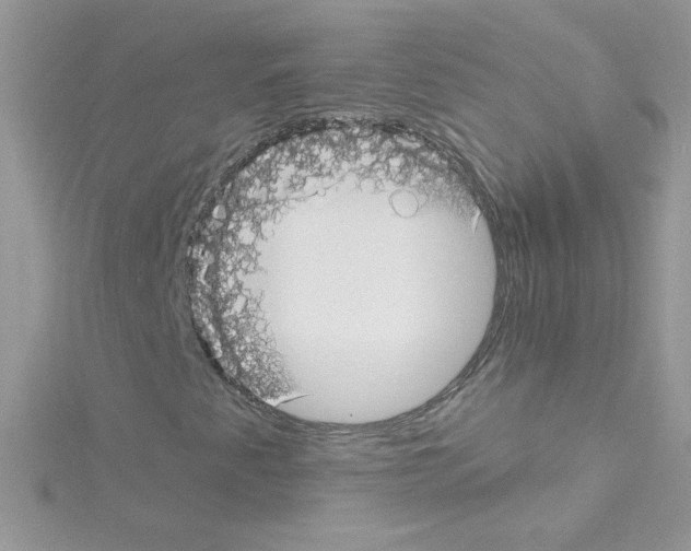 X0000114401345200911271510