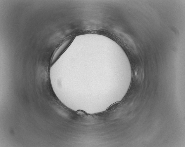 X0000114401348200911271510