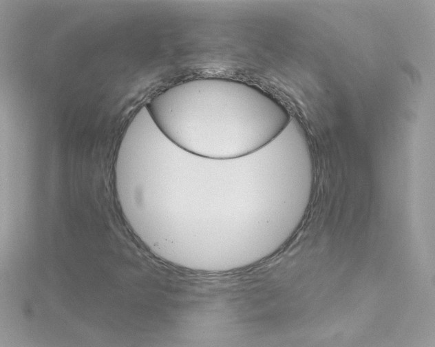 X0000114401349200911271510