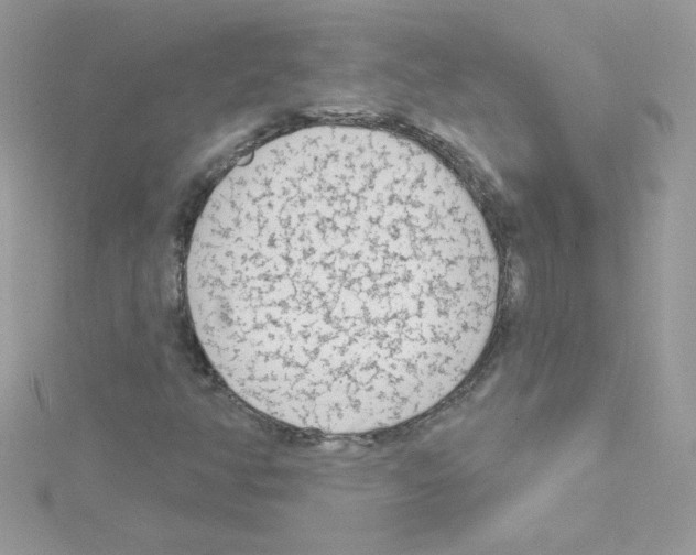 X0000114401350200911271510