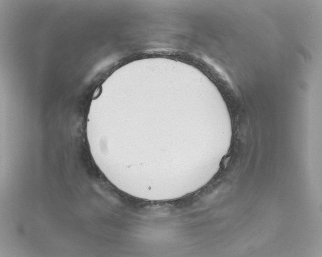 X0000114401351200911271510