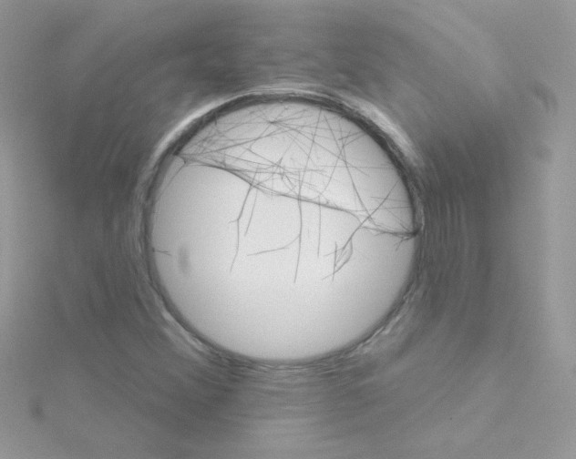 X0000114401356200911271510