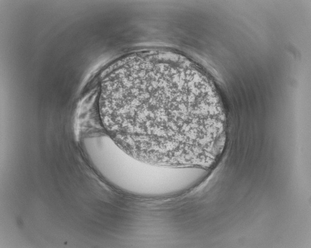 X0000114401357200911271510