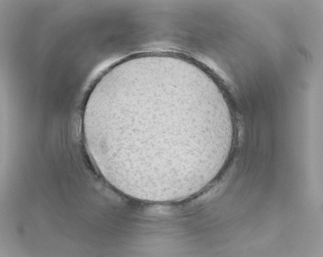 X0000114401358200911271510