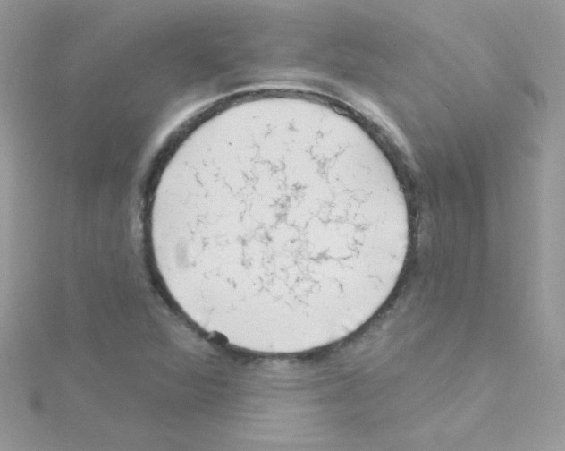 X0000114401360200911271510