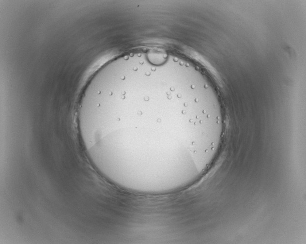 X0000114401362200911271510