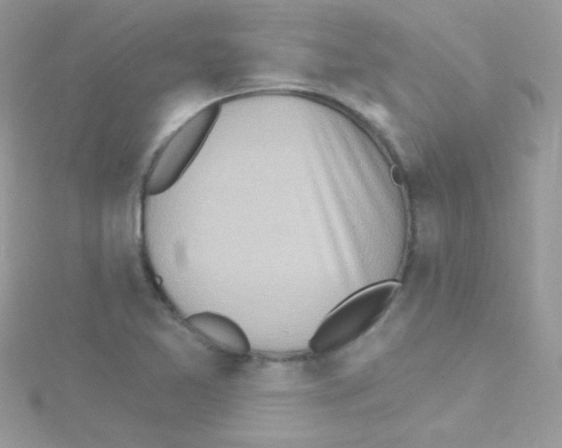 X0000114401365200911271510