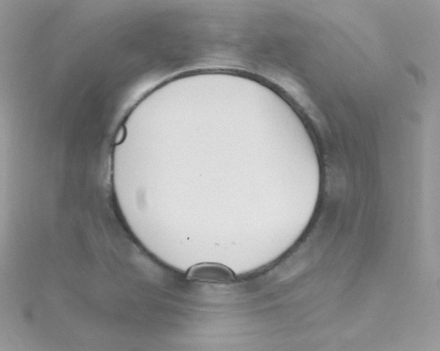 X0000114401366200911271510