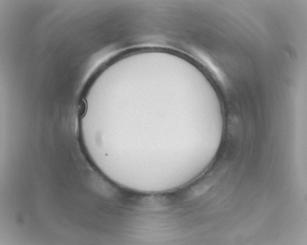 X0000114401368200911271510