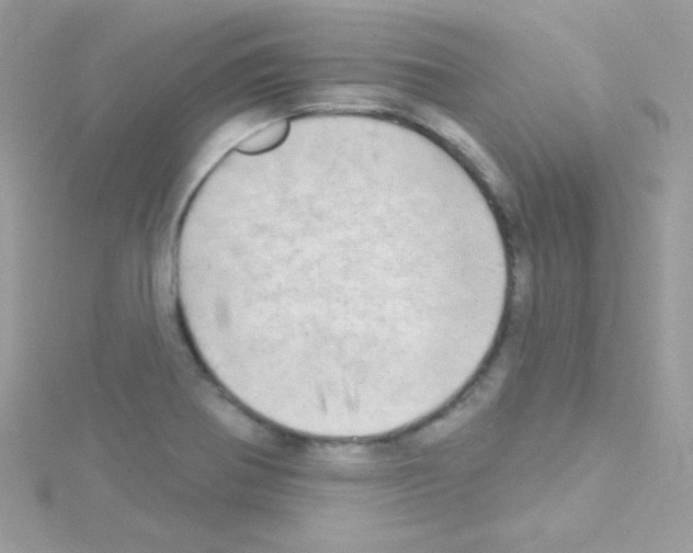 X0000114401370200911271509