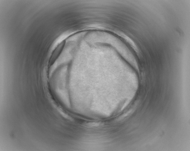 X0000114401373200911271509