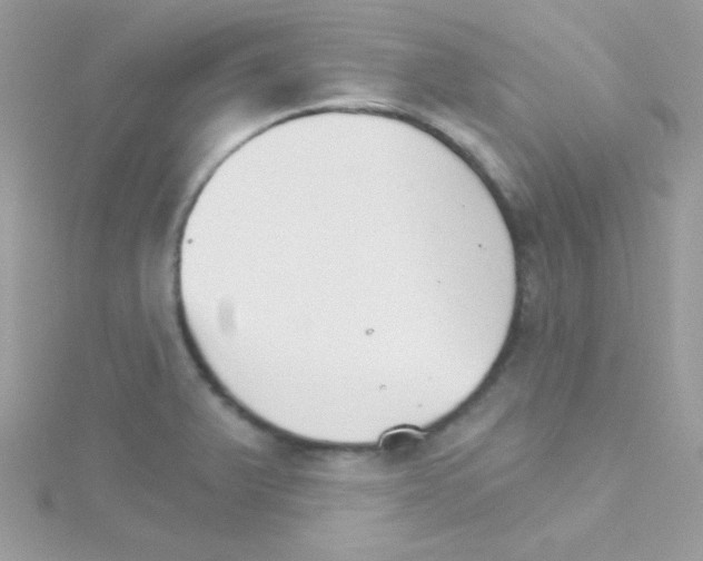 X0000114401375200911271509