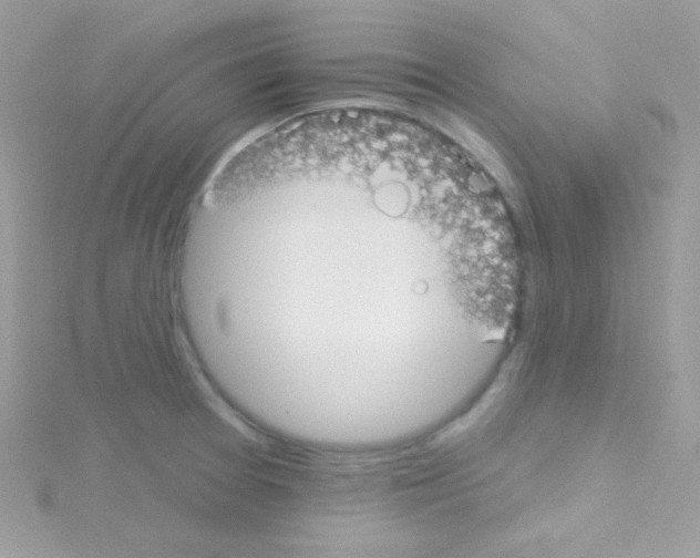 X0000114401377200911271509