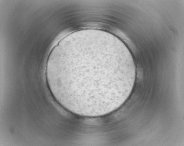 X0000114401378200911271509