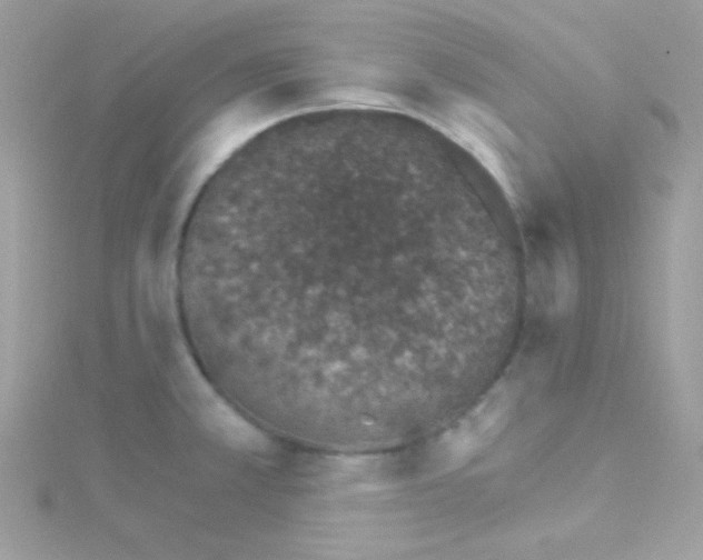 X0000114401381200911271509