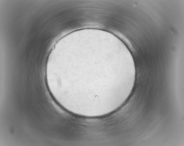 X0000114401383200911271509