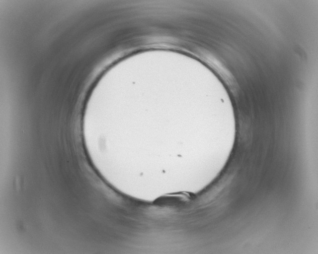 X0000114401384200911271509