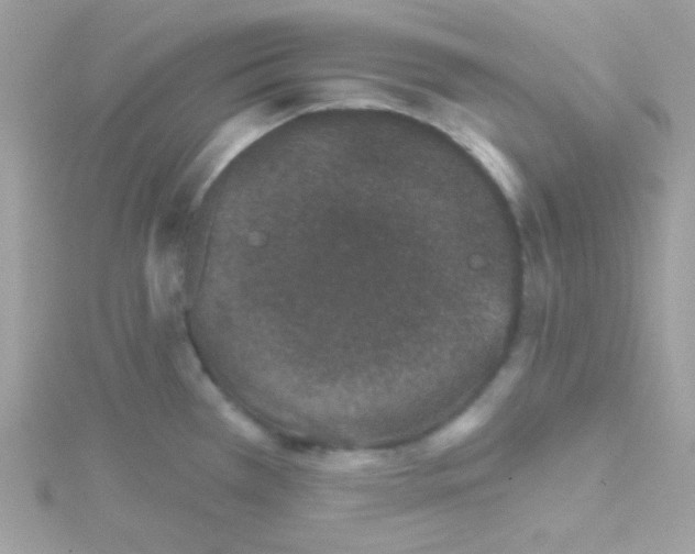 X0000114401385200911271509