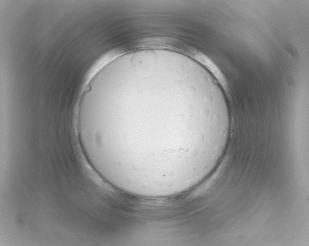 X0000114401386200911271509