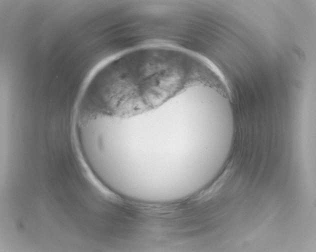 X0000114401387200911271509