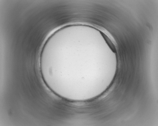 X0000114401388200911271509